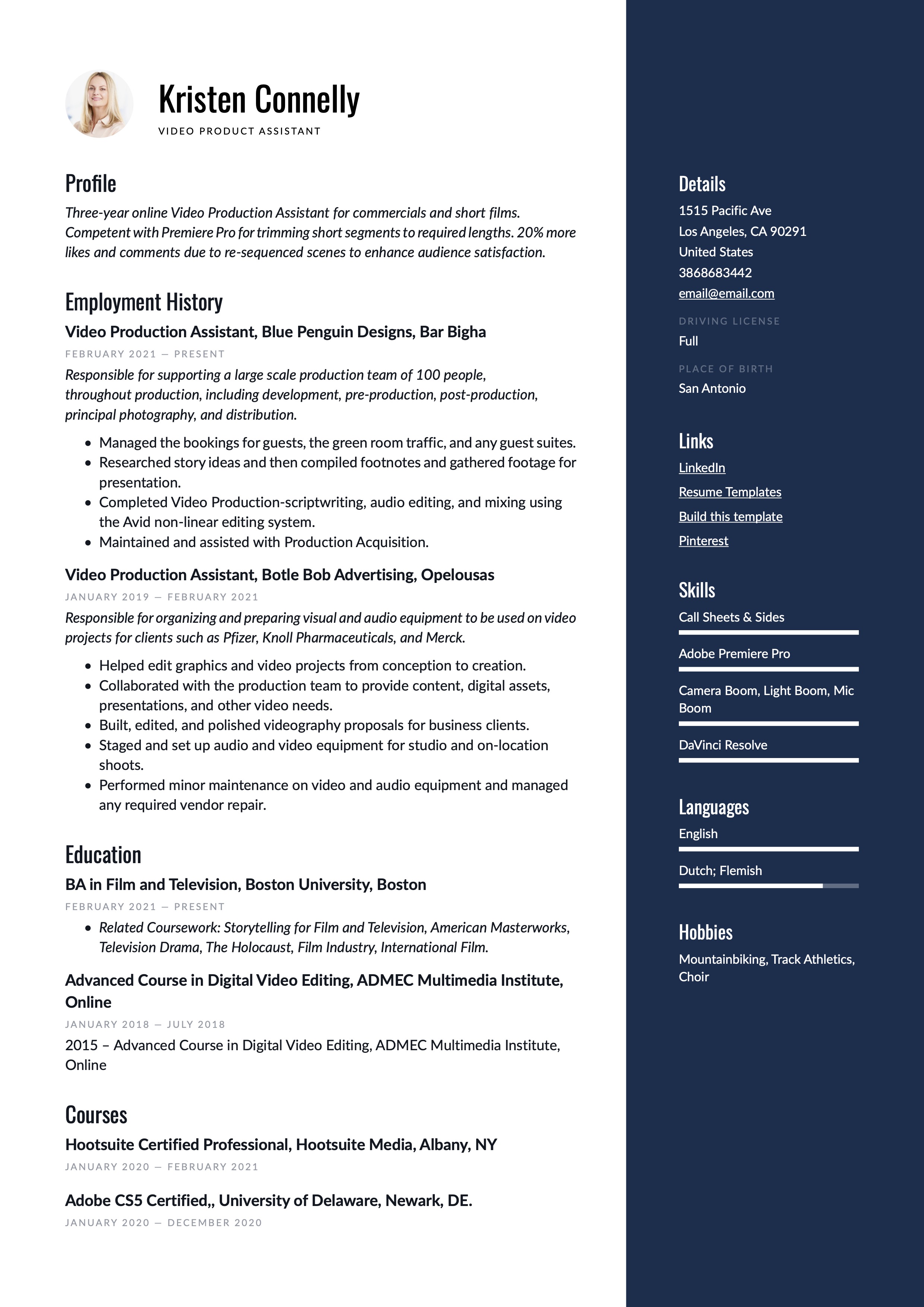 Professional resume template preview