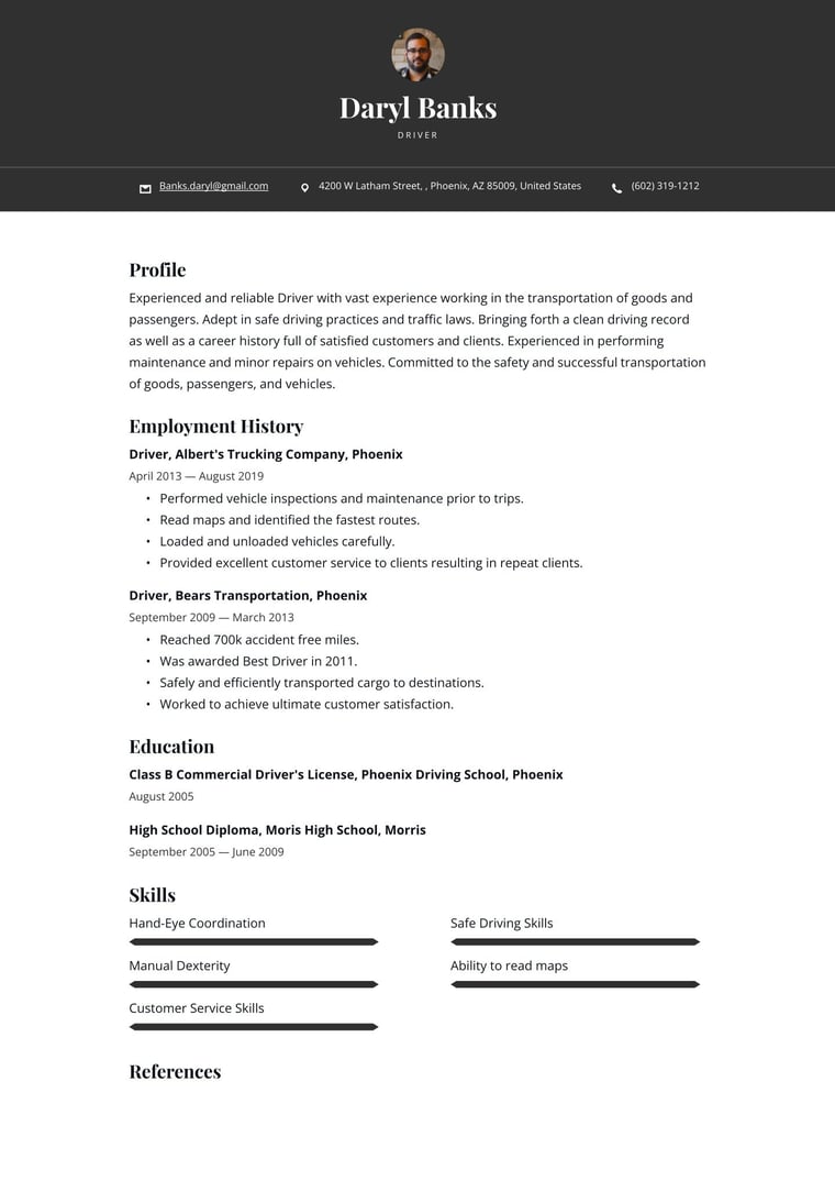 Professional resume template preview