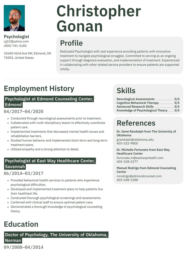 Template Preview 7 resume template preview